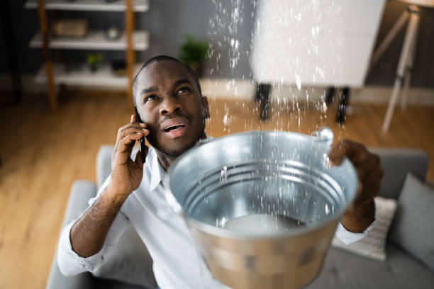 Best Basement water damage restoration  in Welcome, NC