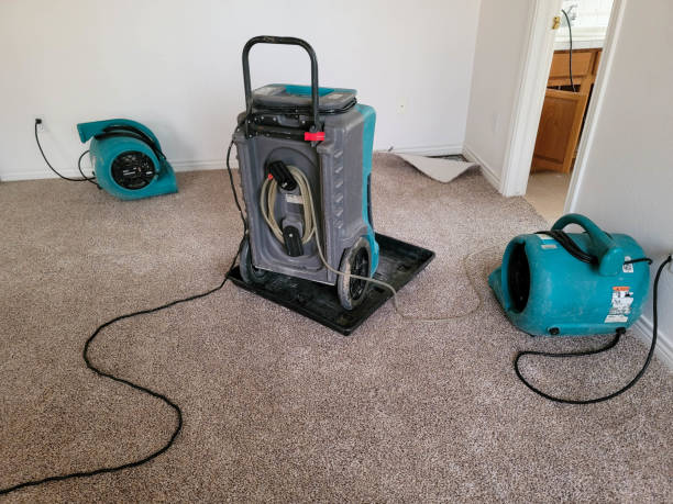 Best Water damage contractors near me  in Welcome, NC