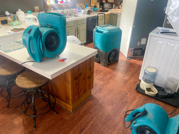 Best Water damage mitigation services  in Welcome, NC