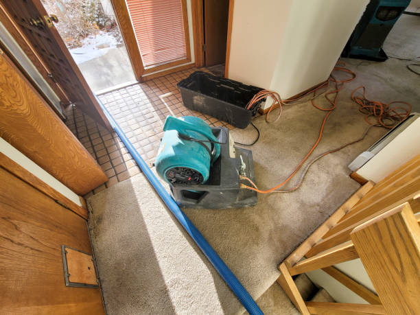 Water damage restoration mold remediation in Welcome, NC