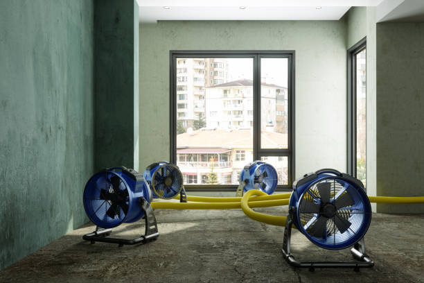 Best Flood restoration services  in Welcome, NC